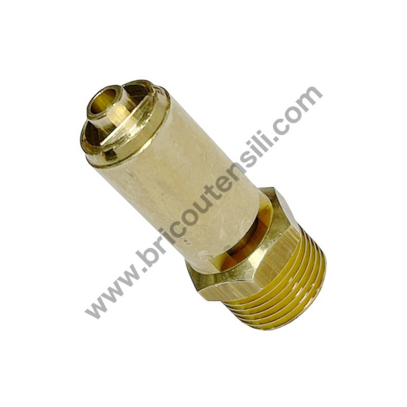 Valvola di Sicurezza 3/8" 11 Bar per Gruppo Pompante ABAC A29B