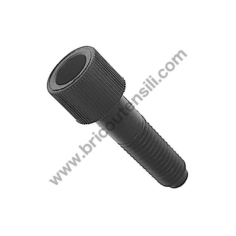 Bullone Bloccaggio Guidapezzo per Troncatrice Stayer SC251W