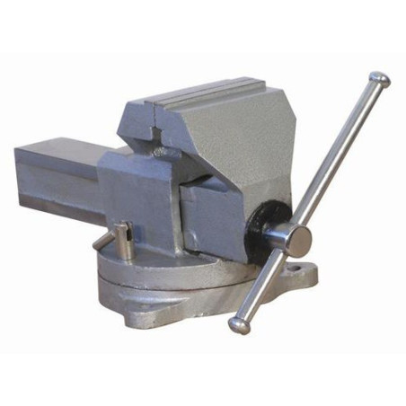 Steel Vice Swivel Base mm 100