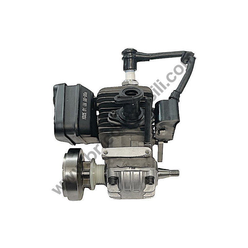 Ricambi Hitachi per Motosega da Potatura Hitachi CS25EC-SC