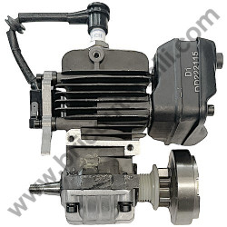 Motore Completo EURO 2 per Motosega Alpina A 305 - 1