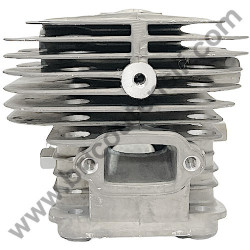 Assieme Cilindro e Pistone per Motosega Alpina AC 42 - 3