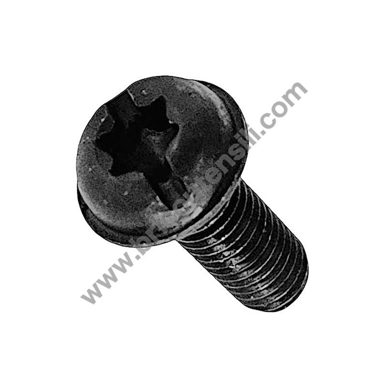 Cover Plate Torx Screw for Chainsaw Alpina A 3700