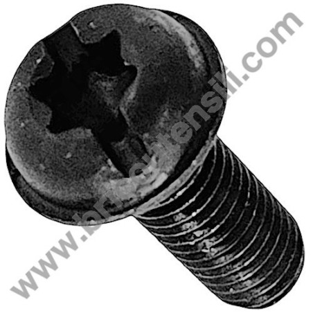 Cover Plate Torx Screw for Chainsaw Alpina A 3700