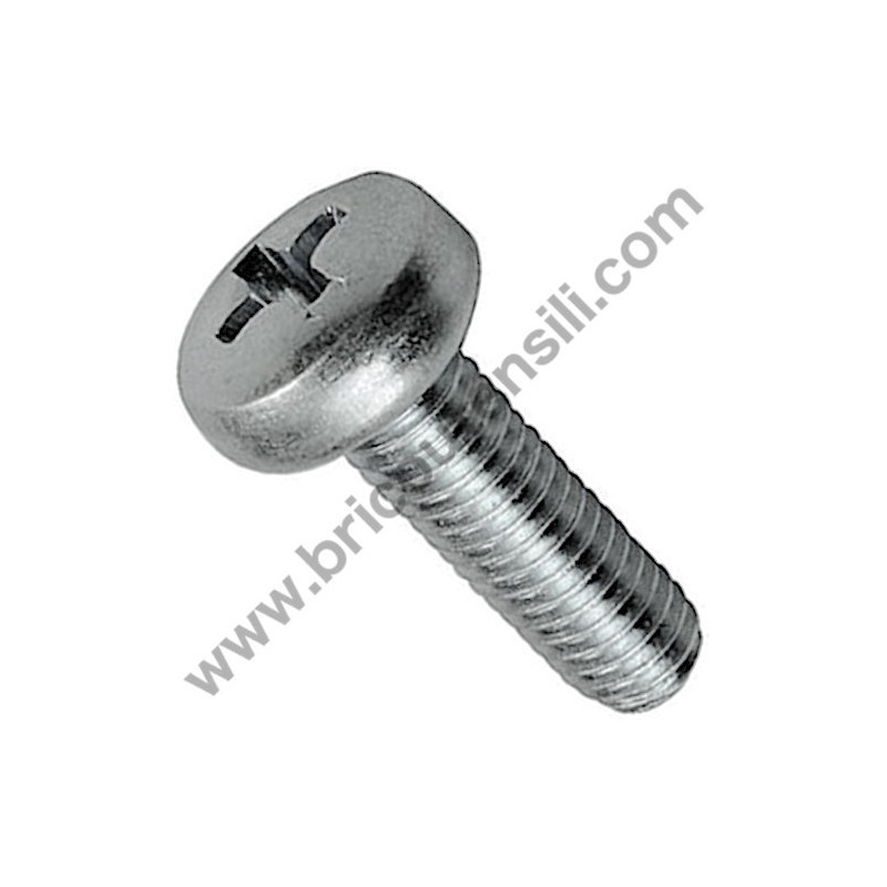 Viti per Metallo Testa Cilindrica a Croce 6 mm