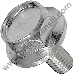 Vite Flangiata 8x1,25 SX per Decespugliatore Tanaka TBC-262