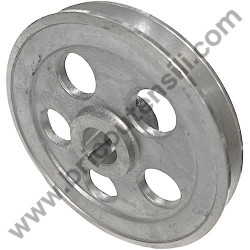 Gruppo Pompante per Compressore a Cinghia A29B BLU