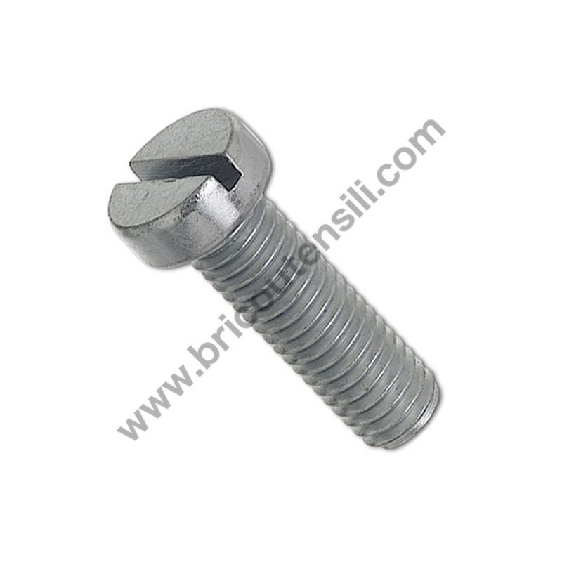 Vite a Testa Cilindrica per Seghetto Alternativo Bosch PST 650