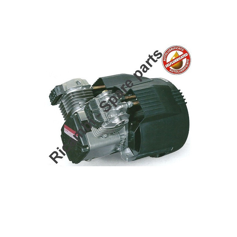 FIAC Spare Parts for Pump Unit  VS 204 - 244 - 1122020520