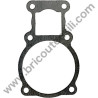Cylinder Gasket for Pump Unit ABAC NS39 - 1