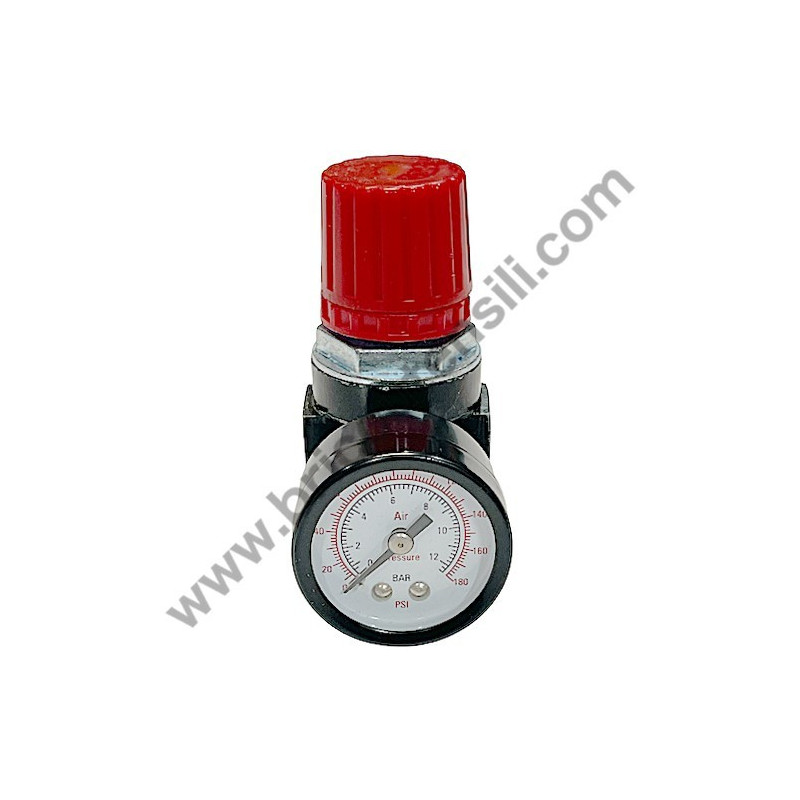 Gruppo Pompante per Compressore a Cinghia A29B BLU