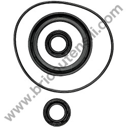 Oil Seal Kitfor Pressure Washer Lavor Independent 2800