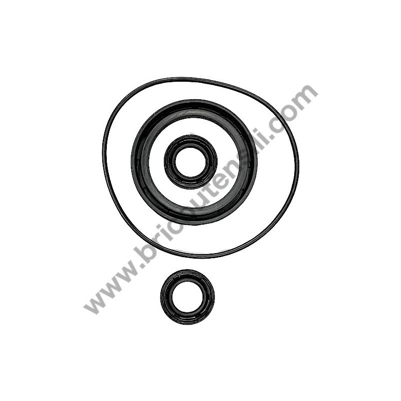 Oil Seal Kitfor Pressure Washer Lavor Independent 2800