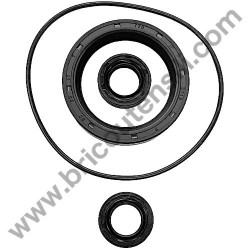 Oil Seal Kitfor Pressure Washer Lavor Independent 2800 - 1