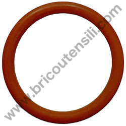 Gruppo Pompante per Compressore a Cinghia A29B BLU