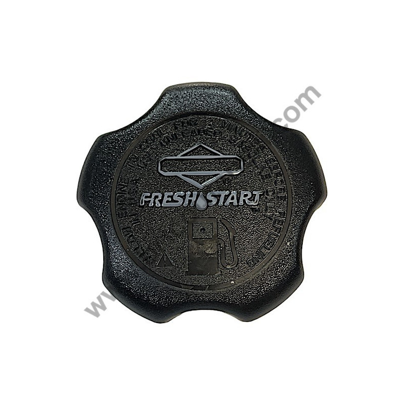 Ricambi Briggs & Stratton per Motore Serie 450