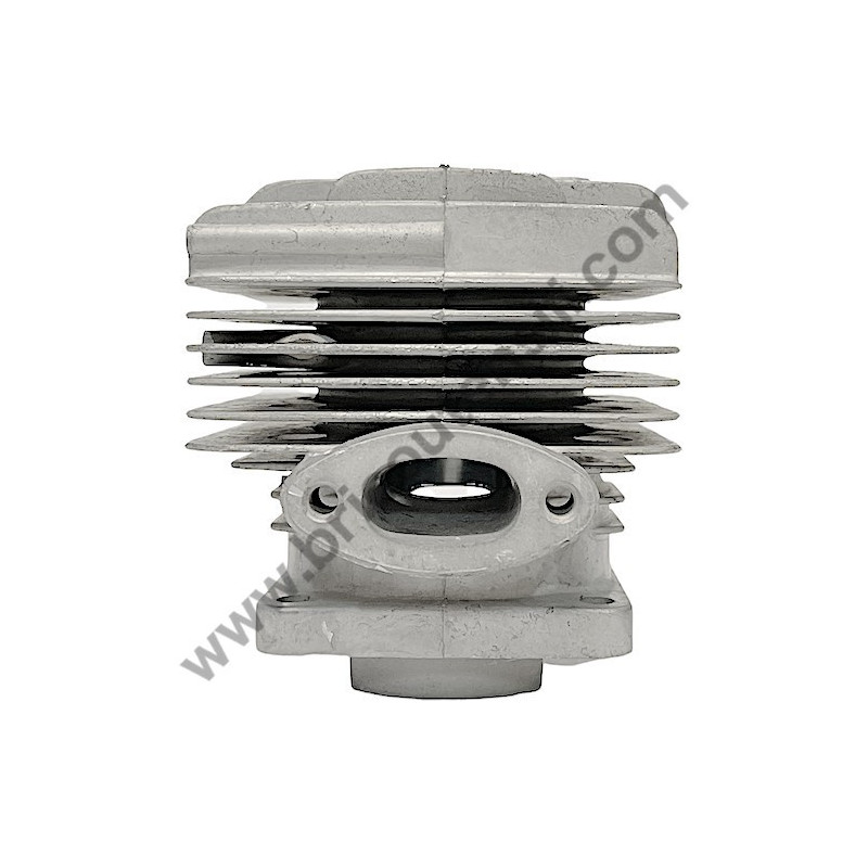 Ricambi Hitachi per Motosega da Potatura Hitachi CS25EC-SC