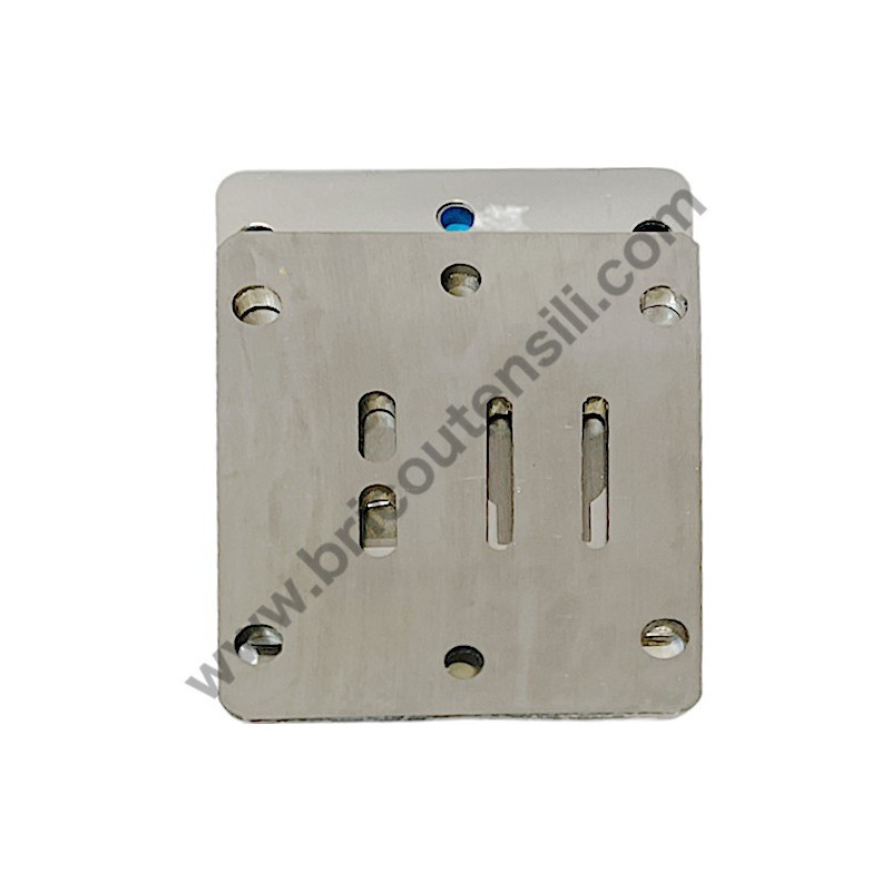 Valve Plate Kit for Air Compressor Michelin MVX50