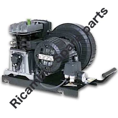 Ricambi Fiac per Gruppi Pompanti