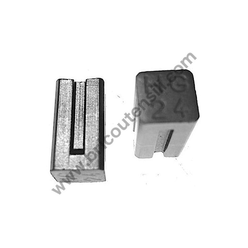 Coppia Spazzole per Sega Circolare Skil 5740