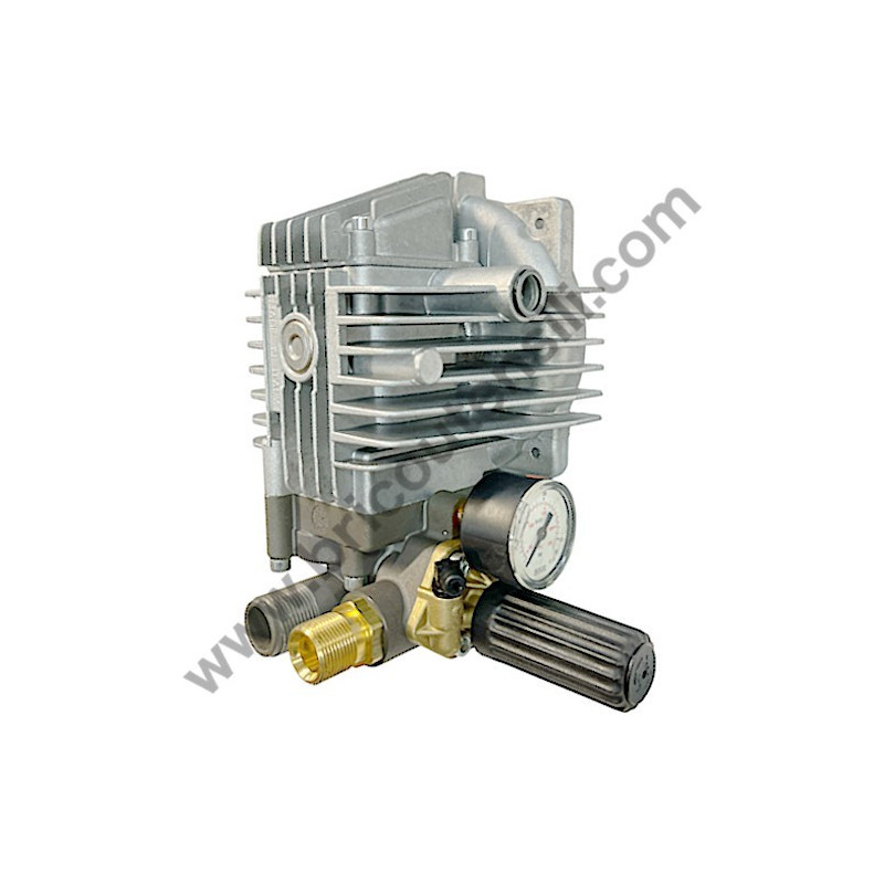 Pump Assembly for Pressure Washer ARSG Vip - 8.130