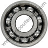 Ball Bearing 6303 for Pressure Washers Lavorwash - 1