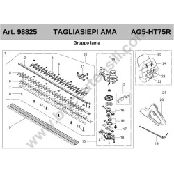 Ricambi Ama per Tagliasiepi a Scoppio AG5 – HT75R - Esploso - 1