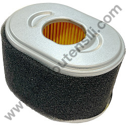 Filtro Aria per Motozappa STIGA SRC 775 RG - 1