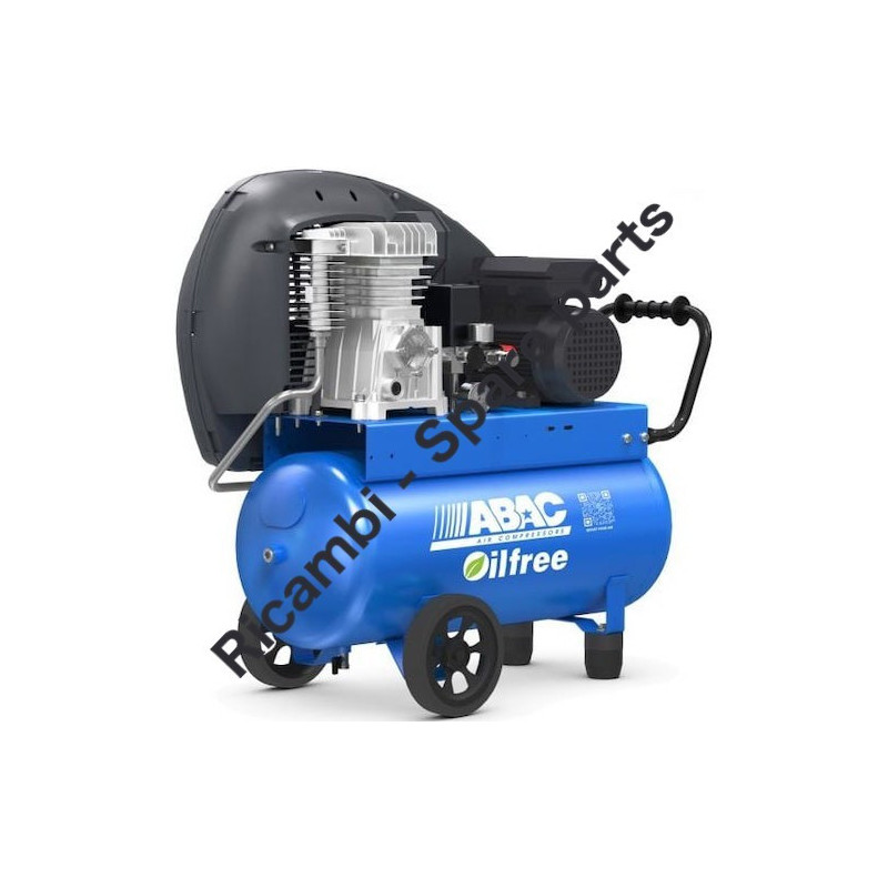 Gruppo Pompante per Compressore a Cinghia A29B BLU