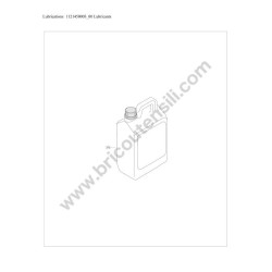 ABAC Parts for Air Compressor B26-50 CM2 - Lubricants