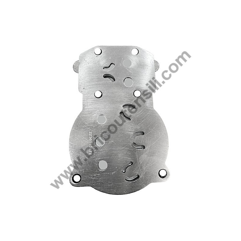 Valve Plate for Pump Unit ABAC B5900 STEEL