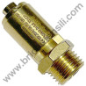 FIAC Safety Valve 1/4" 10,5 Bar for Air Compressors SCS