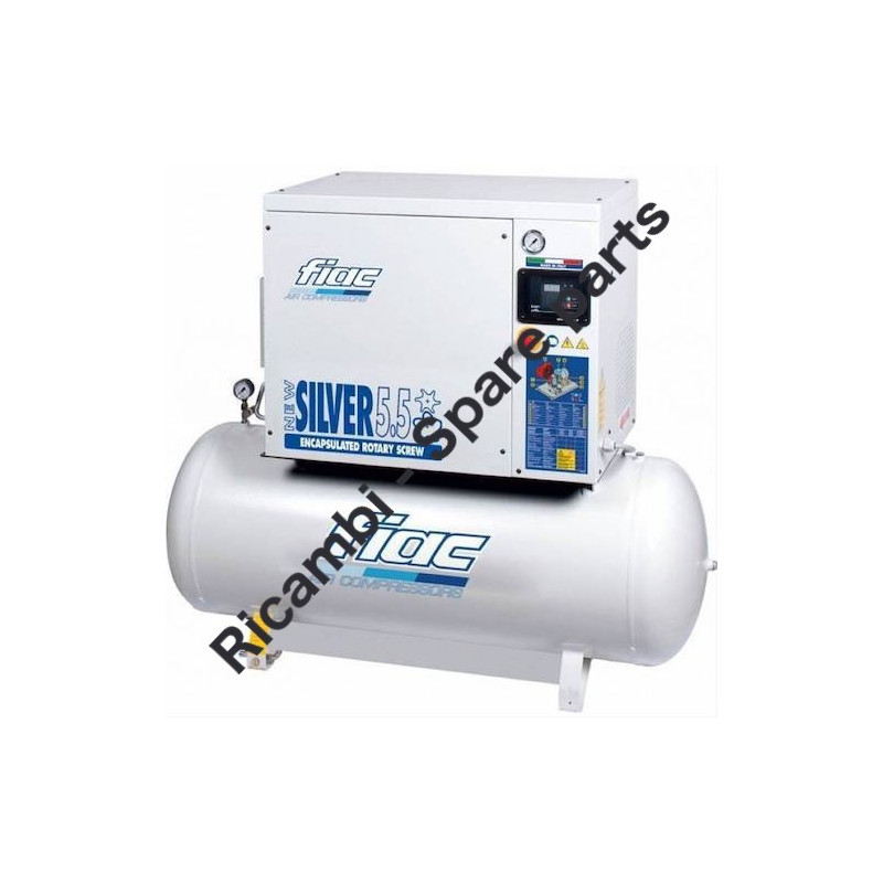Ricambi Fiac per Compressori NEW SILVER 5,5-10