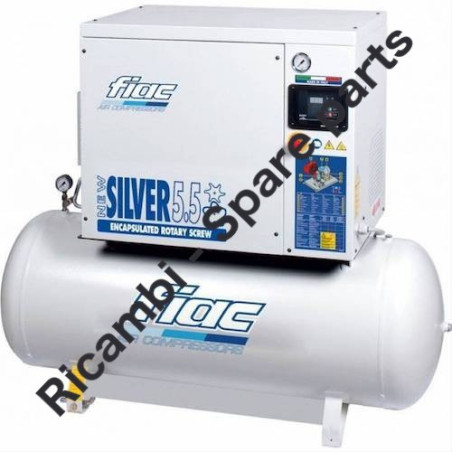 Ricambi Fiac per Compressori NEW SILVER 5,5-10