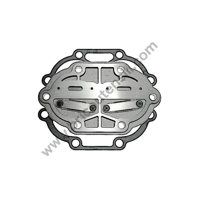 Gruppo Pompante per Compressore a Cinghia A29B BLU