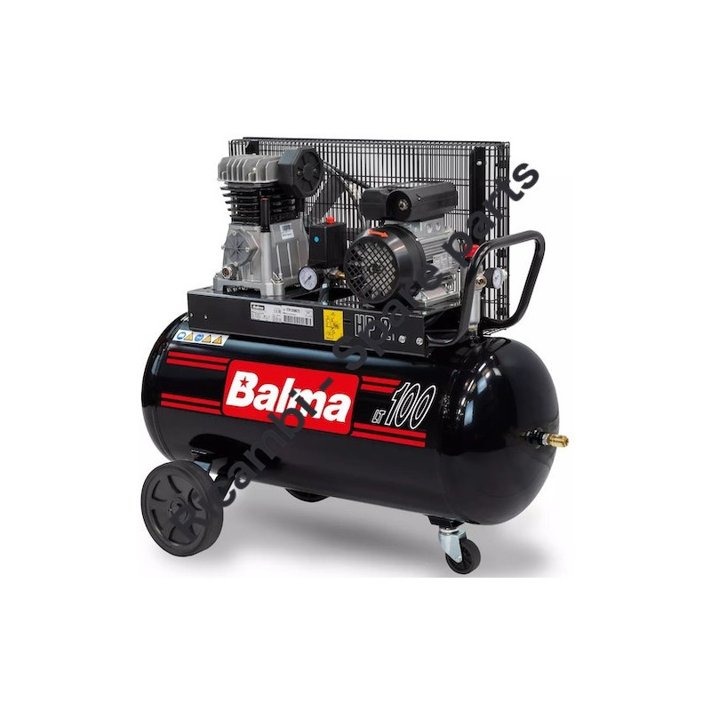 Gruppo Pompante per Compressore a Cinghia A29B BLU