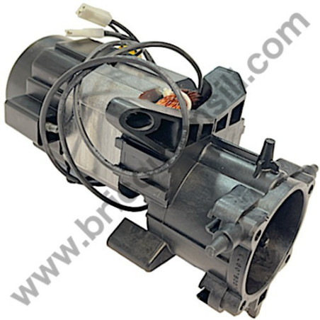 Assieme Motore per Idropulitrice Lavor WASHER 19