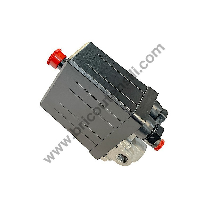 Pistone per Gruppo Pompante Fiac AB 248-338-360