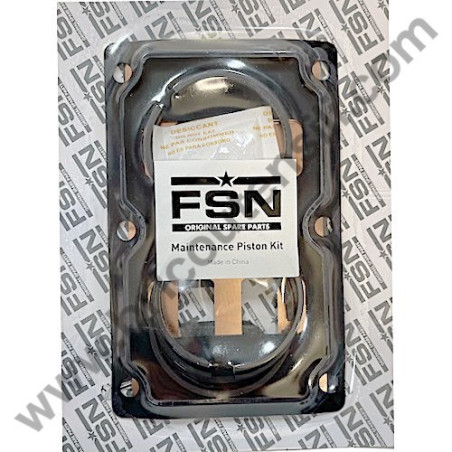 Piston Ring Kit for Pump Unit ABAC B3800 - NS18