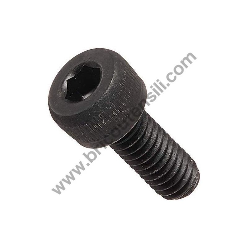 Hex Hole Bolt M5x30S for Chainsaw Hitachi CS33EB