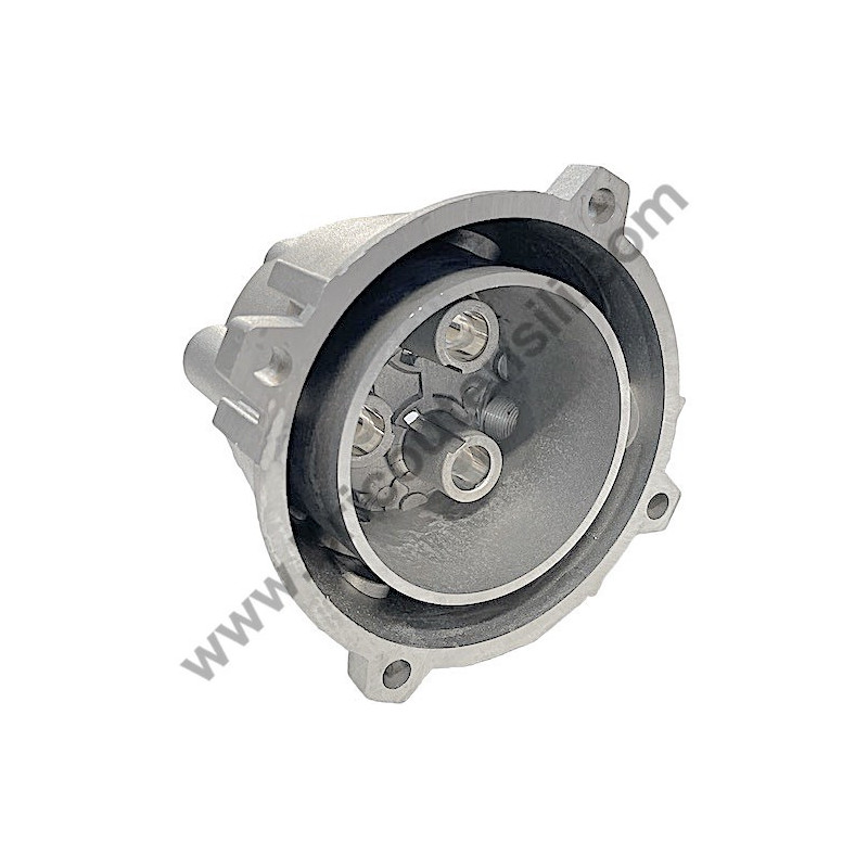 Pistons Guide Body for Pressure Washer Lavor NPX 1500