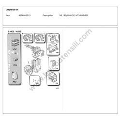Ricambi per Compressore BALMA NS 18S/200 CM3 V230 - Kit