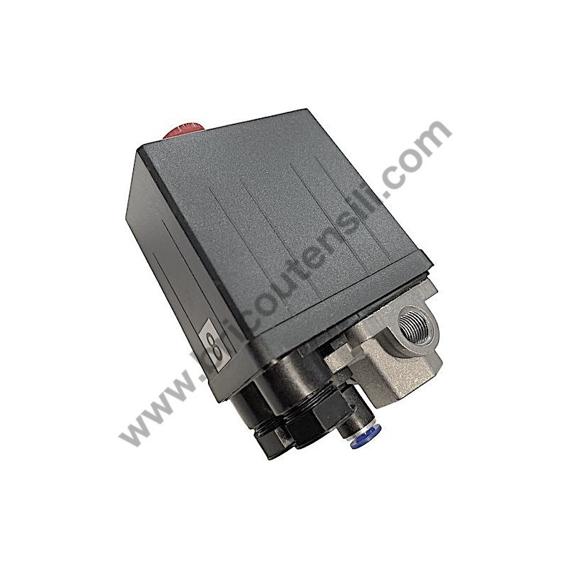 Gruppo Pompante per Compressore a Cinghia A29B BLU