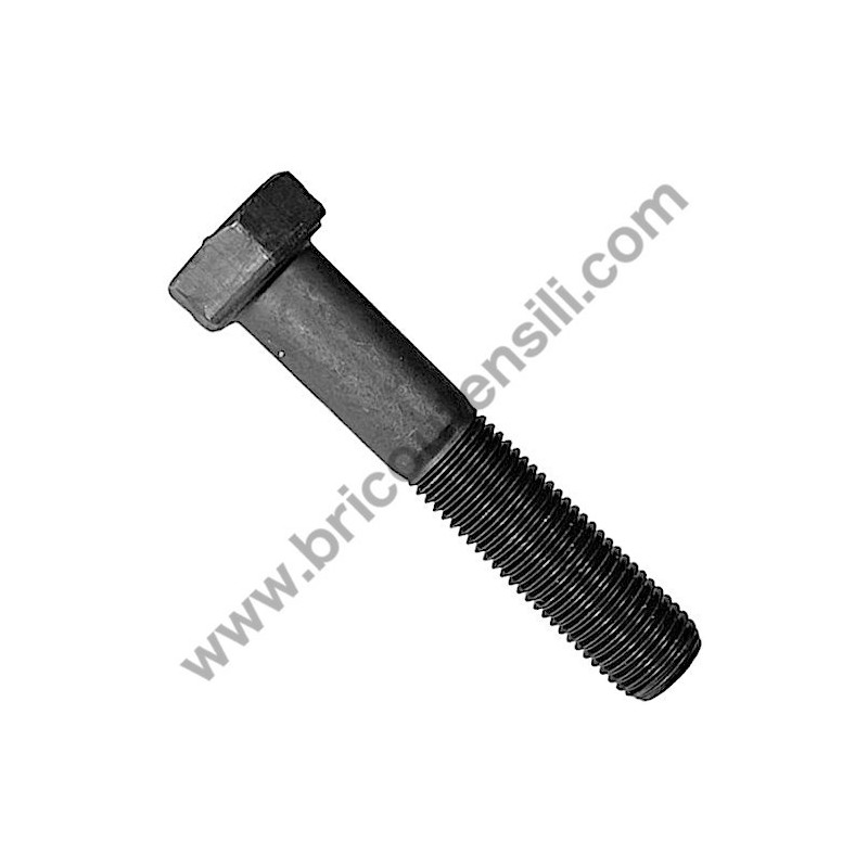 Ricambi Hitachi per Motosega da Potatura Hitachi CS25EC-SC