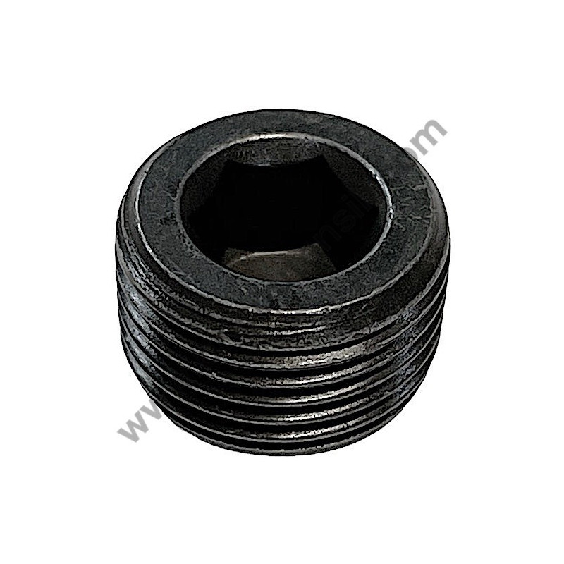 Vite STEI 3/8" per Idropulitrici Lavor NPX 1400 - NPX 1500