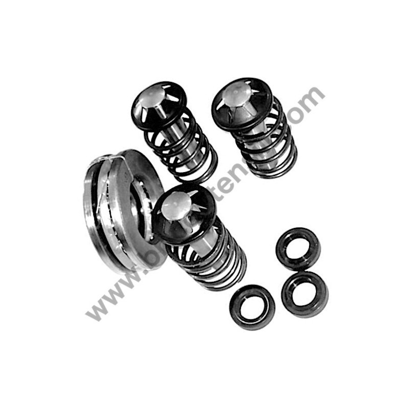 Kit Pistoni per Idropulitrici Annovi & Reverberi AR490-12769