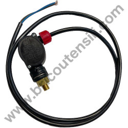 Motorpump Ass'y for Pressure Washer Lavor RIO 1108 - Pressure switch
