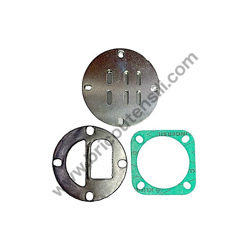 Kit Piastra Valvole per Gruppo Pompante GM 110/15 Bar