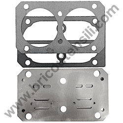 Gruppo Pompante per Compressore a Cinghia A29B BLU