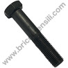 Blade Special Bolt for Self-Propelled Lawnmower AMA LT 52H - P10103